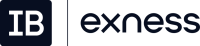 Exness logo